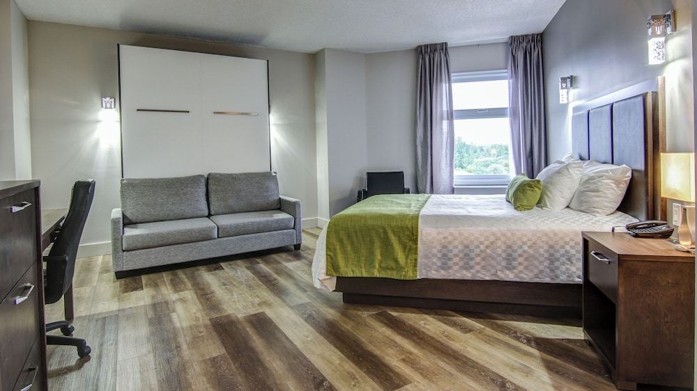 Standard Room, Multiple Beds photo 1