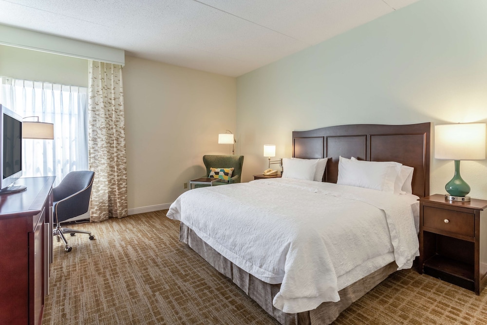 Room, 1 King Bed, Accessible, Non Smoking (Roll-In Shower, Mobility & Hearing) - Photo 3