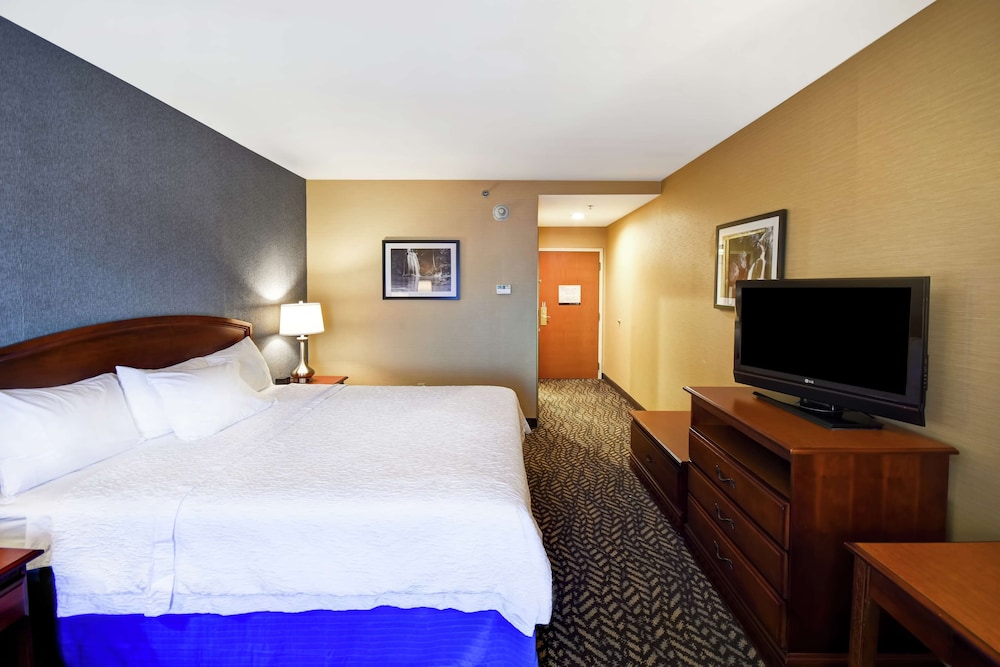 Hampton Inn Chicopee - Springfield, Photo 4