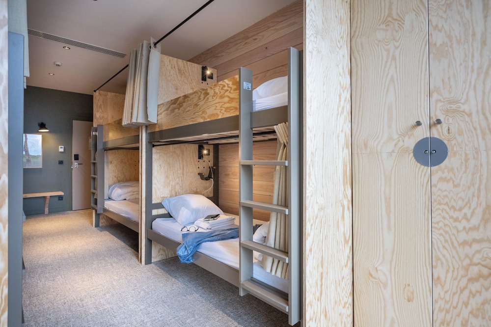Standard Shared Dormitory photo 1