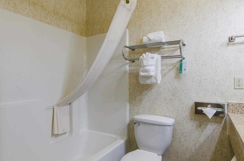 Suite, 1 King Bed with Sofa bed, Non Smoking (Upgrade) - Photo 8