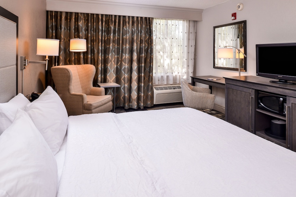 Room, 1 King Bed, Accessible, Non Smoking (Roll-in Shower) - Photo 4