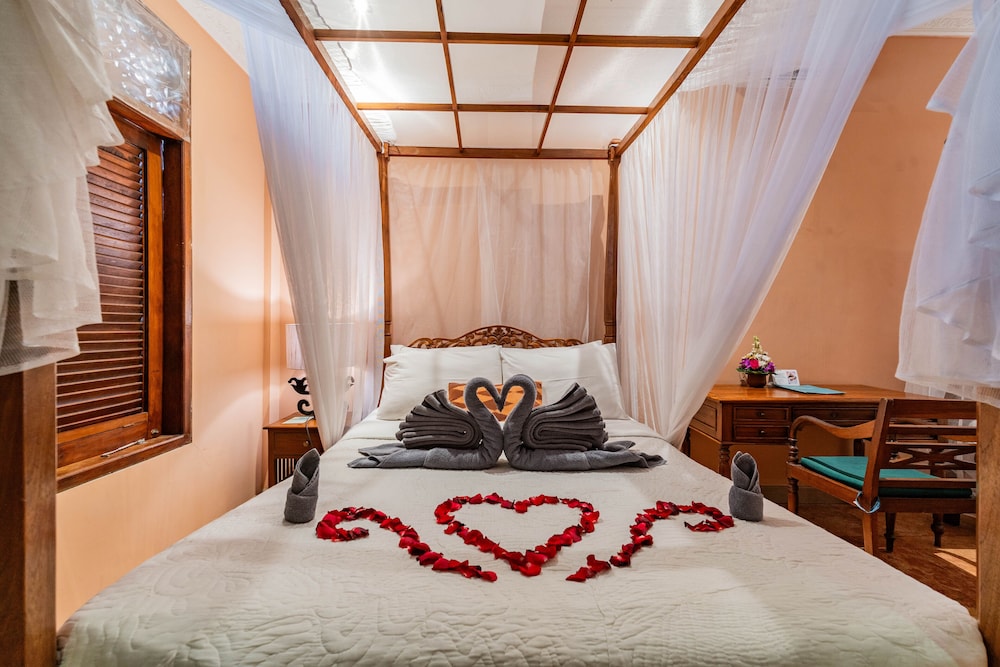 Deluxe Double or Twin Room photo 1