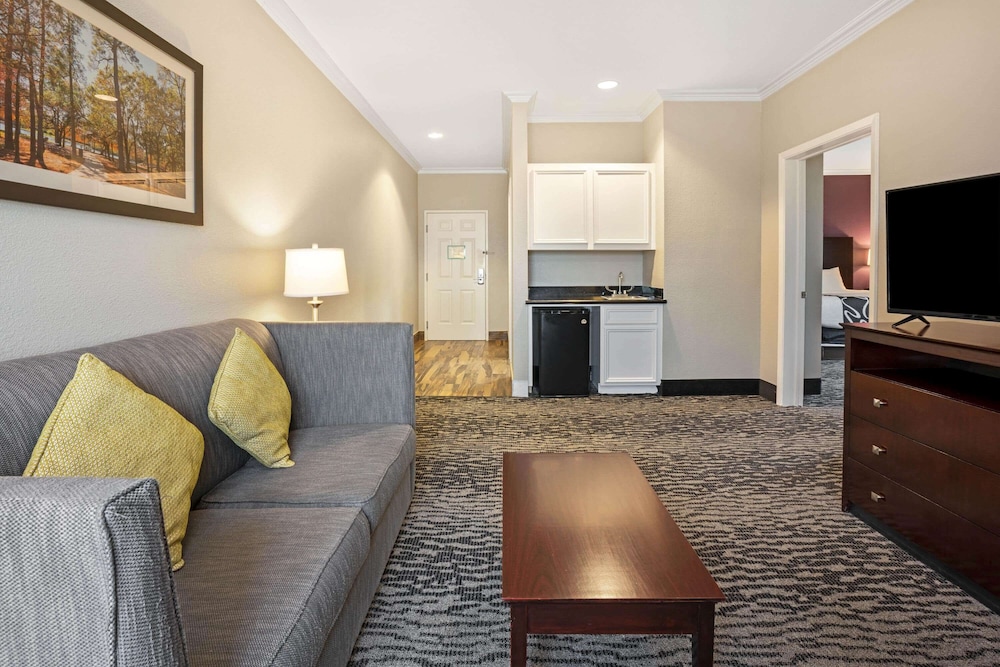 Suite, 1 King Bed - Photo 2