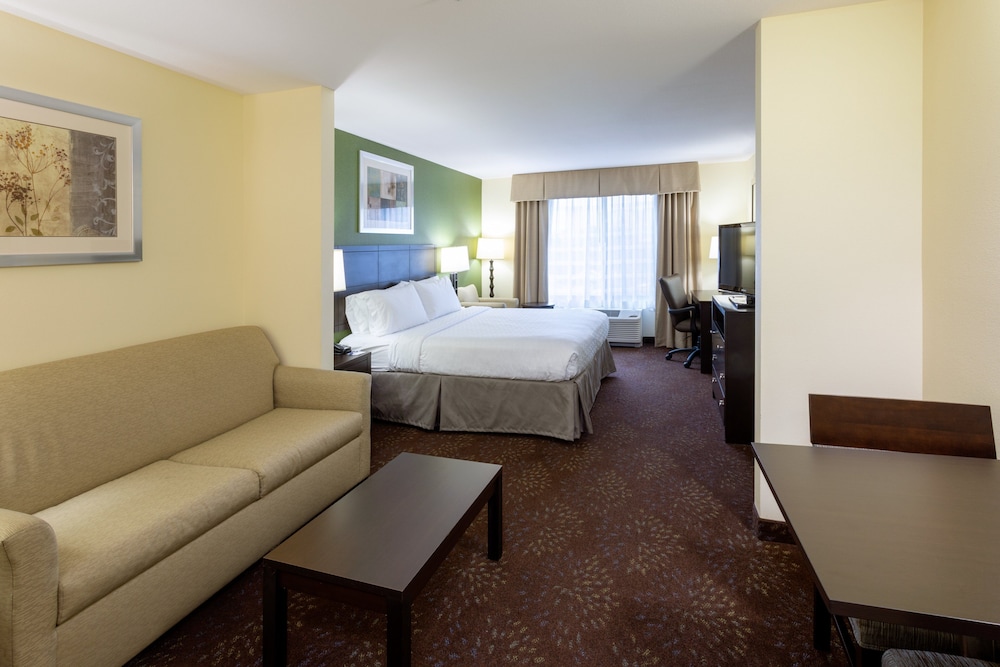 Studio Suite, 1 King Bed, Accessible Bathtub (Communication Accessible) - Photo 1