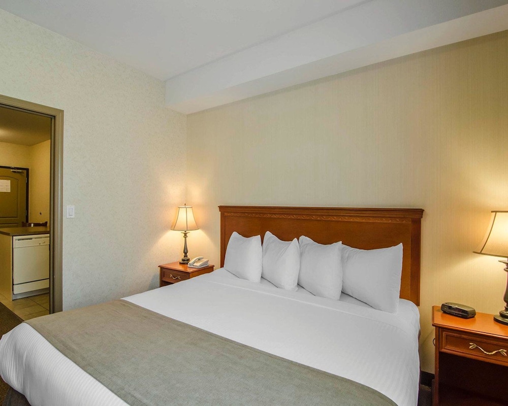 Efficiency, Suite, 1 King Bed with Sofa bed, Non Smoking - Photo 8