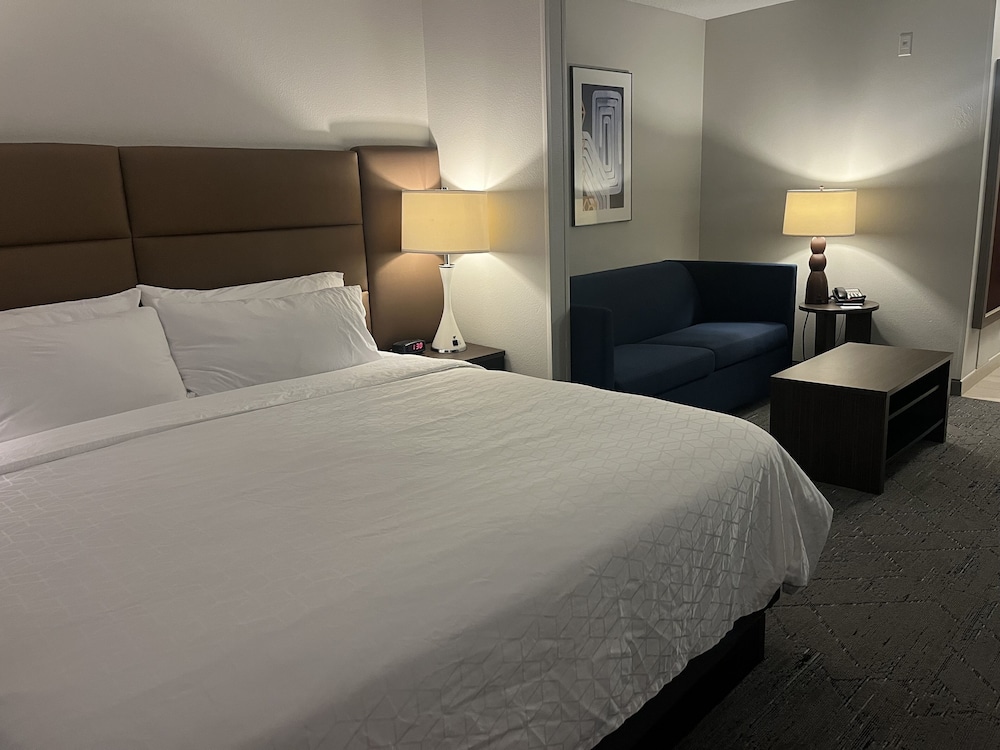 Suite, 1 King Bed - Photo 3