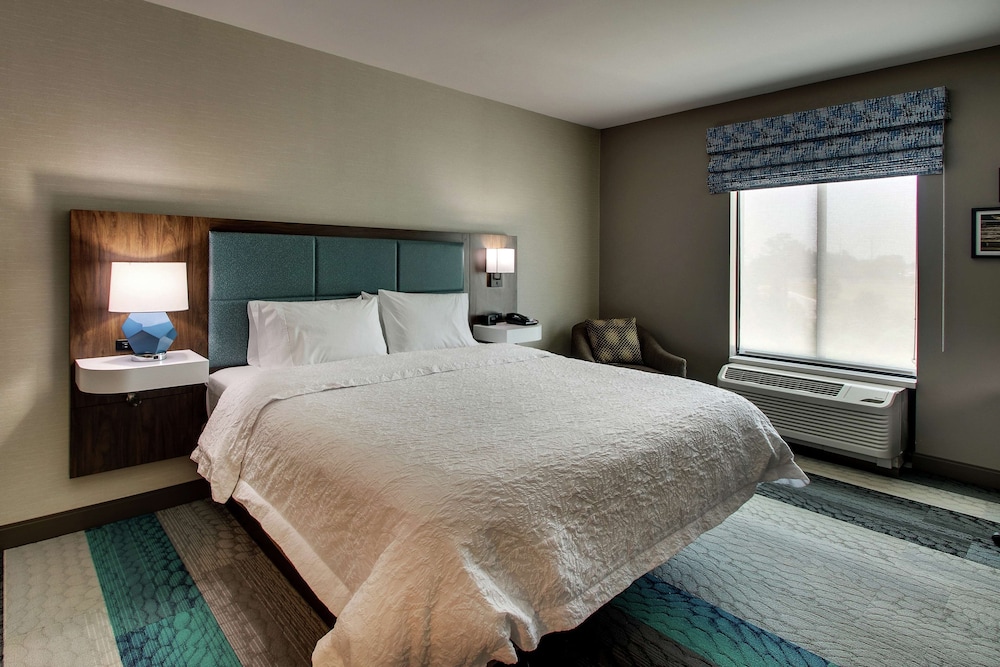 Room, 1 King Bed, Accessible (Hearing) photo 2