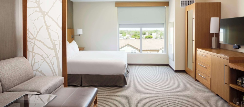 Room, 1 King Bed with Sofa bed (King High Floor) photo 3