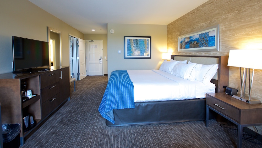 Standard Room, 1 King Bed, Accessible (Hearing) photo 3