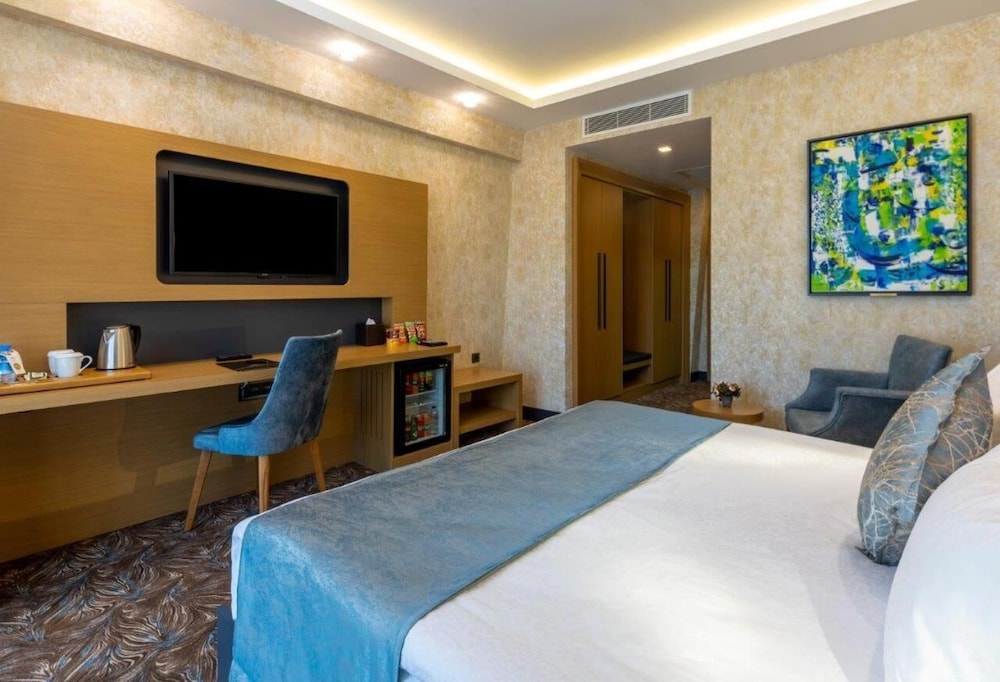 Deluxe Double or Twin Room photo 2