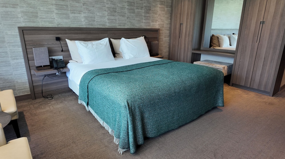Superior Room, 1 King Bed photo 2