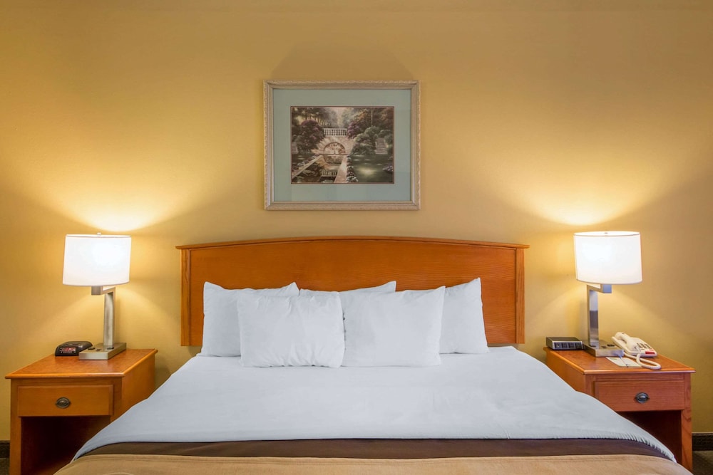 Standard Room, 1 King Bed, Non Smoking - Photo 6
