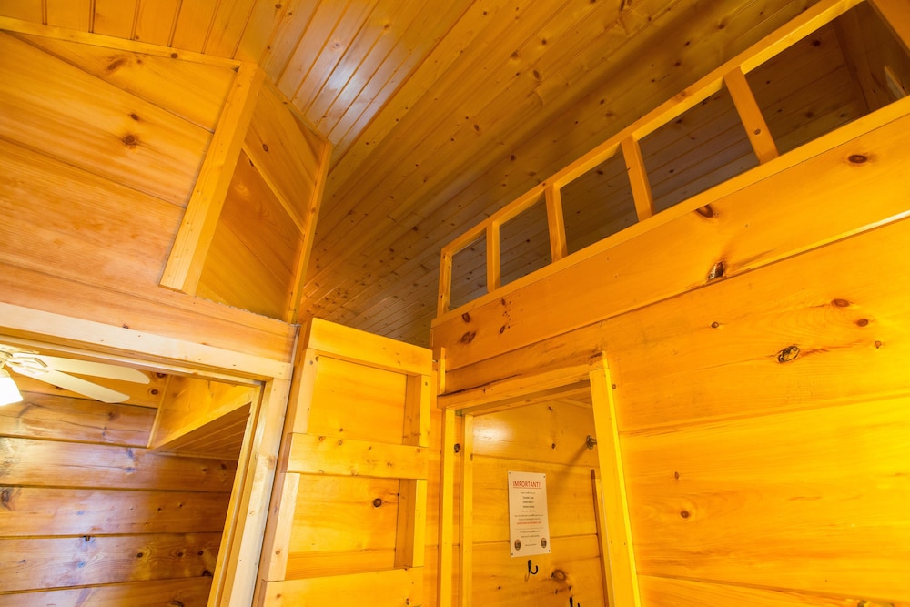 Premium Cabin, 1 Bedroom, Kitchen, Lakeside photo 3