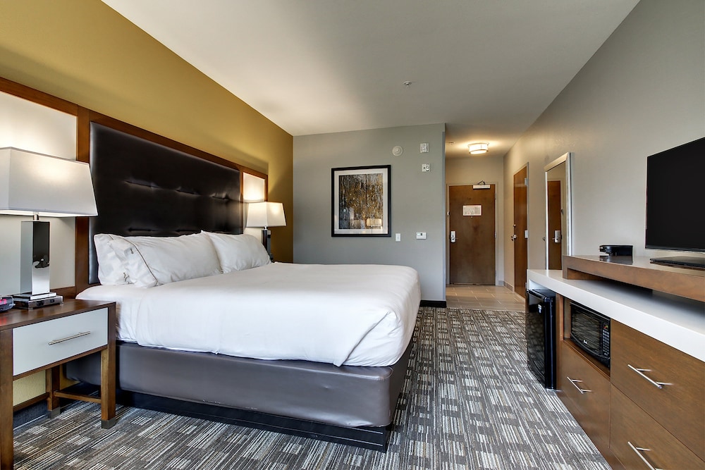 Executive Room, 1 King Bed, Non Smoking photo 3