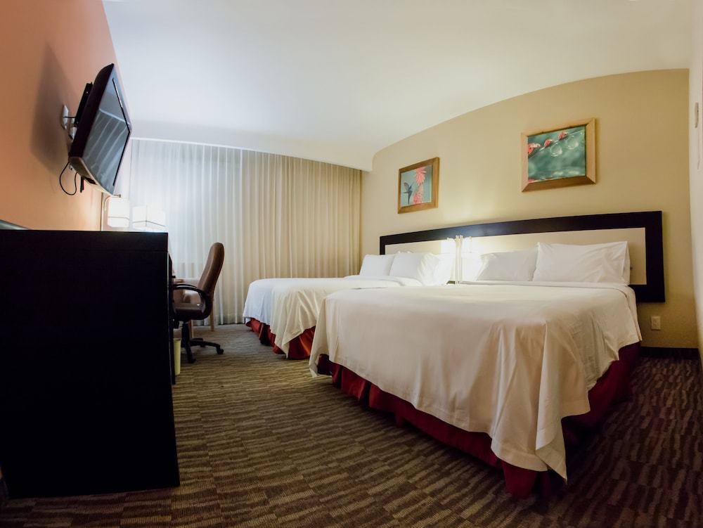 Superior Room, 2 Queen Beds photo 1
