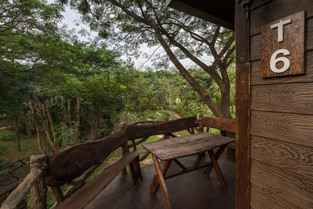 Tree House photo 2