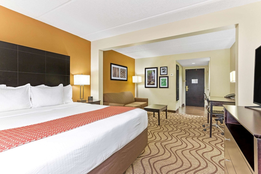 Deluxe Suite, 1 King Bed, Non Smoking photo 1