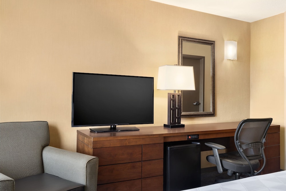 Suite, 1 King Bed photo 3