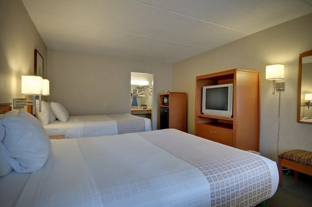 Single Room, 2 Queen Beds photo 3