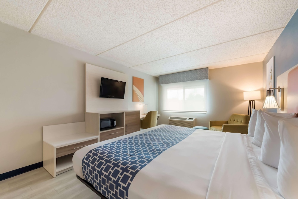 Room, 1 King Bed, Mobility Accessible, Non Smoking (Bathtub W/grab Bars) photo 2