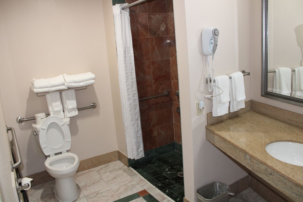 Room, 1 King Bed With Sofa Bed, Accessible, Non Smoking (Roll-In Shower)