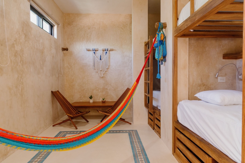 Basic Shared Dormitory photo 1
