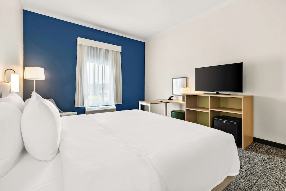 Room, 1 King Bed, Accessible (Mobility & Hearing, Roll-in Shower) - Photo 2