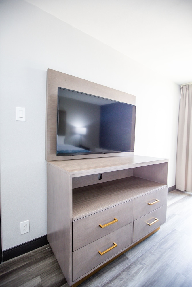 Suite, 1 Bedroom, Non Smoking - Photo 3