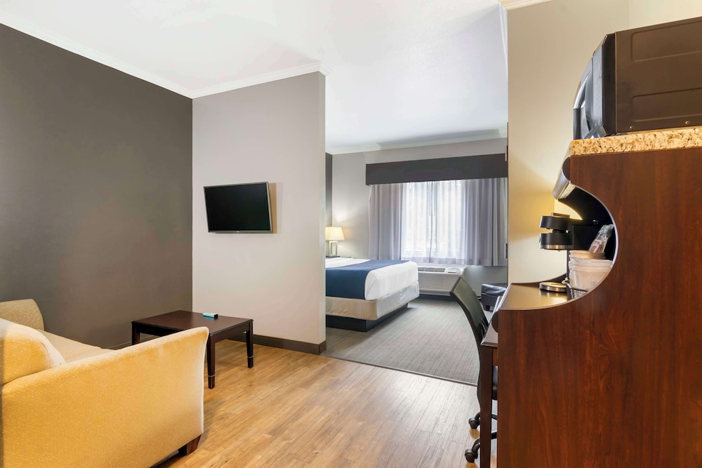 Standard Room, 1 King Bed, Non Smoking, Refrigerator & Microwave (with Sofabed) - Photo 6