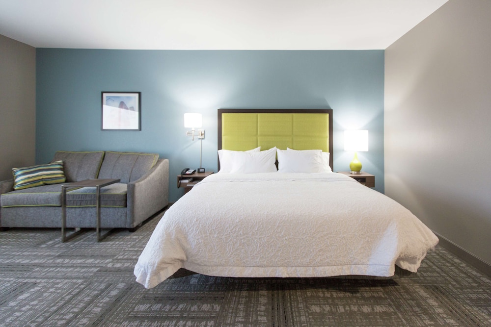 Room, 1 King Bed, Accessible (Mobility & Hearing, Roll-in Shower)