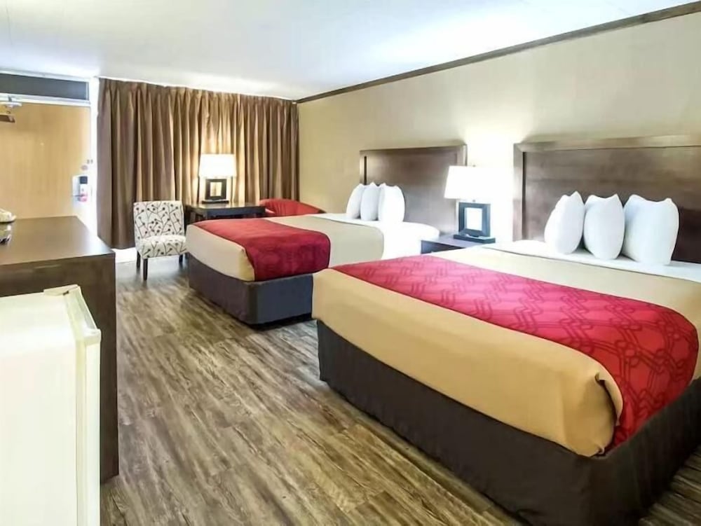 Standard Double Room, 2 Double Beds, Non Smoking (No Pets) - Photo 1