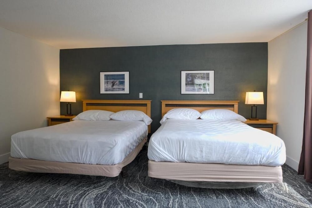 Family Suite, Multiple Beds, Ensuite, Mountain View photo 1