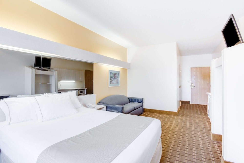 Standard Room, 1 Queen Bed, Accessible, Refrigerator & Microwave (Walk-in Shower;with Sofabed) - Photo 3