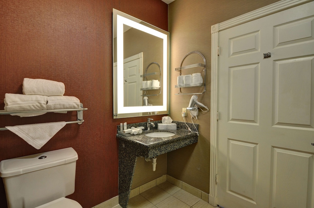 Suite, 1 King Bed, Accessible, Non Smoking (Roll-in shower) - Photo 18