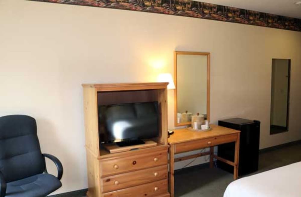 Suite, 1 Bedroom photo 2