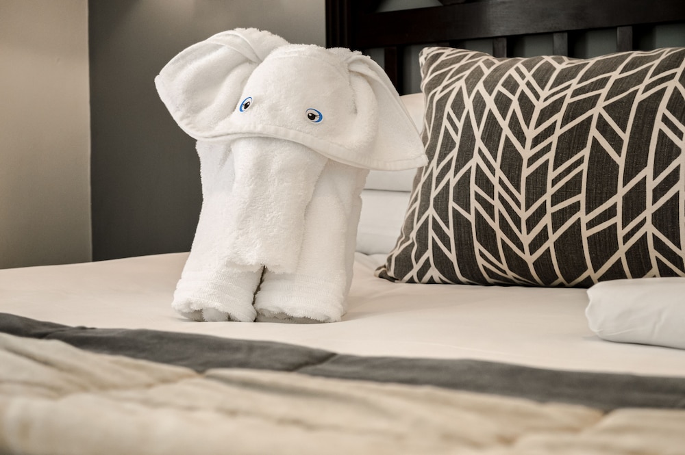 Standard Twin Room - Photo 14
