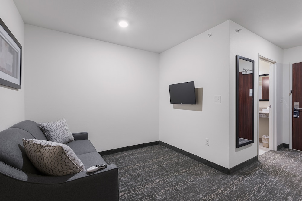 Studio, 1 King Bed with Sofa bed, Accessible, Non Smoking (Visual Alert) - Photo 2
