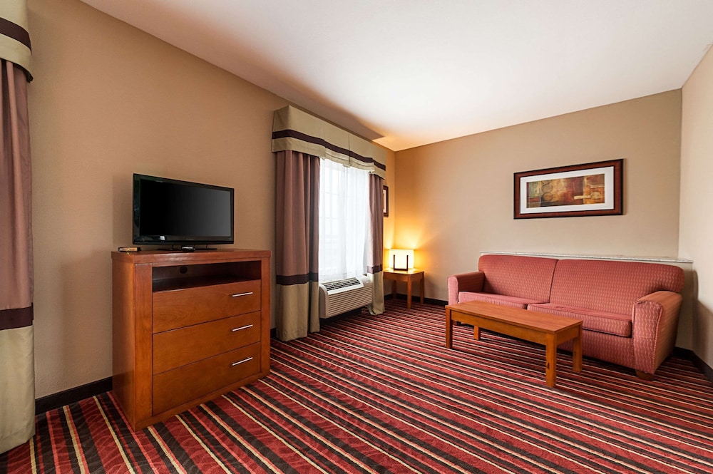 Suite, Accessible, Non Smoking - Photo 6