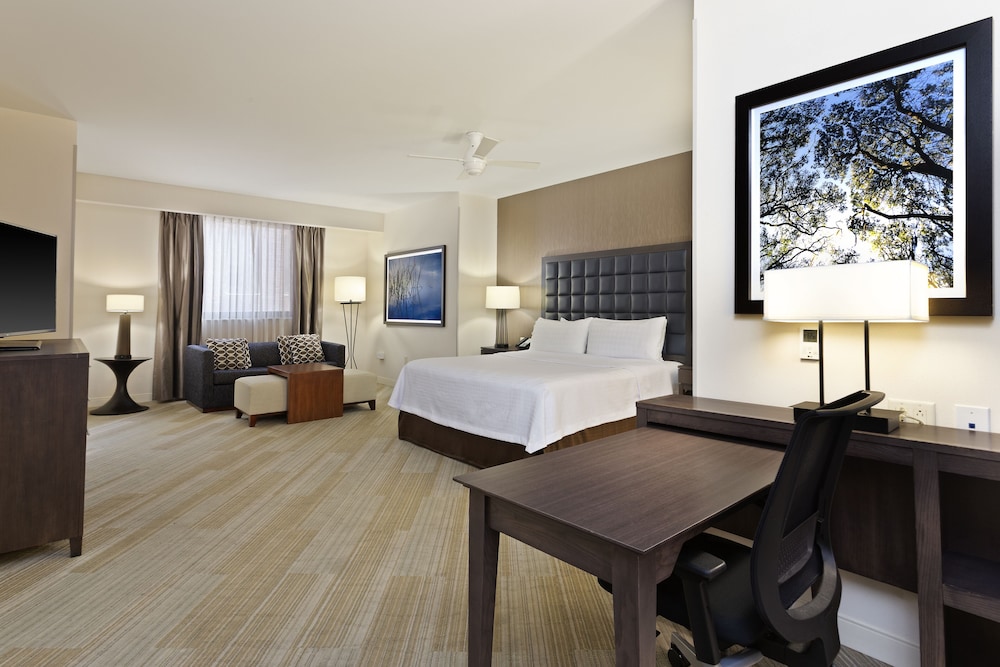 Studio Suite, 1 King Bed, Non Smoking photo 2