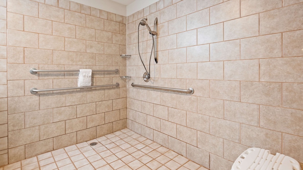 Standard Room, 1 King Bed, Accessible, Non Smoking (Pet Friendly) - Photo 4