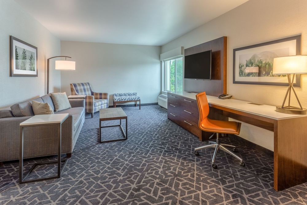 Suite, 1 King Bed with Sofa bed (Atrium View) photo 1