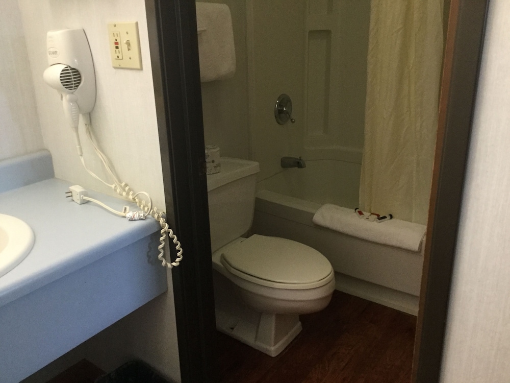 Suite, 1 Bedroom, Non Smoking photo 1