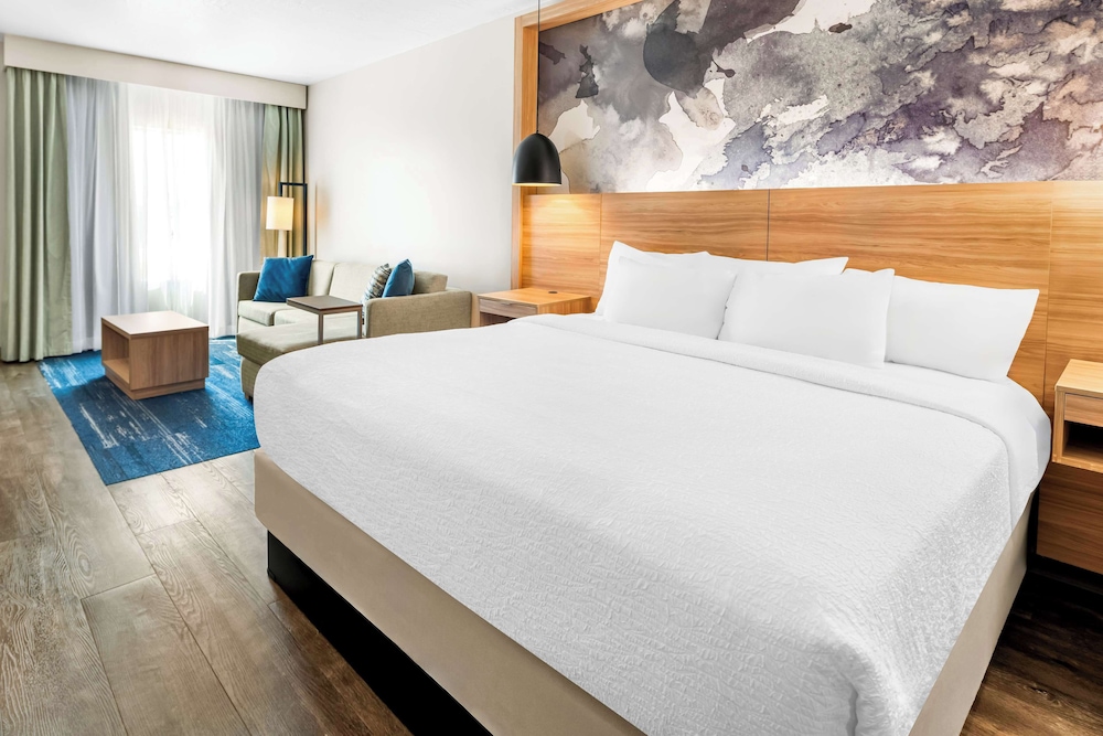 Suite, 1 King Bed, Non Smoking, Refrigerator & Microwave (Walk-in Shower;with Sofabed) - Photo 1