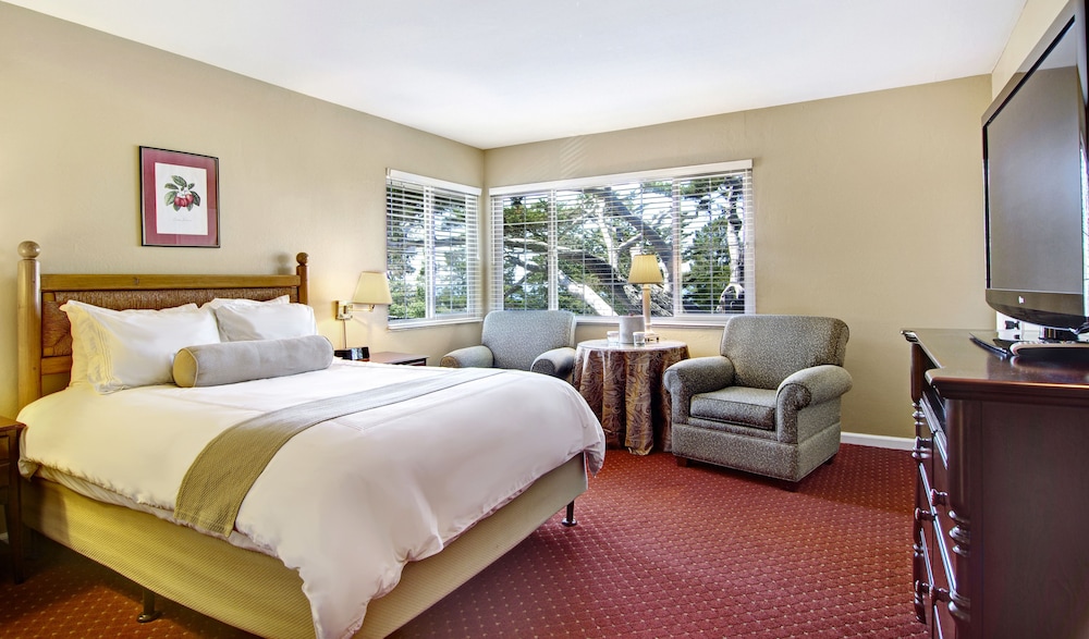 Standard Room, 1 King Bed, Jetted Tub (Pet Friendly)