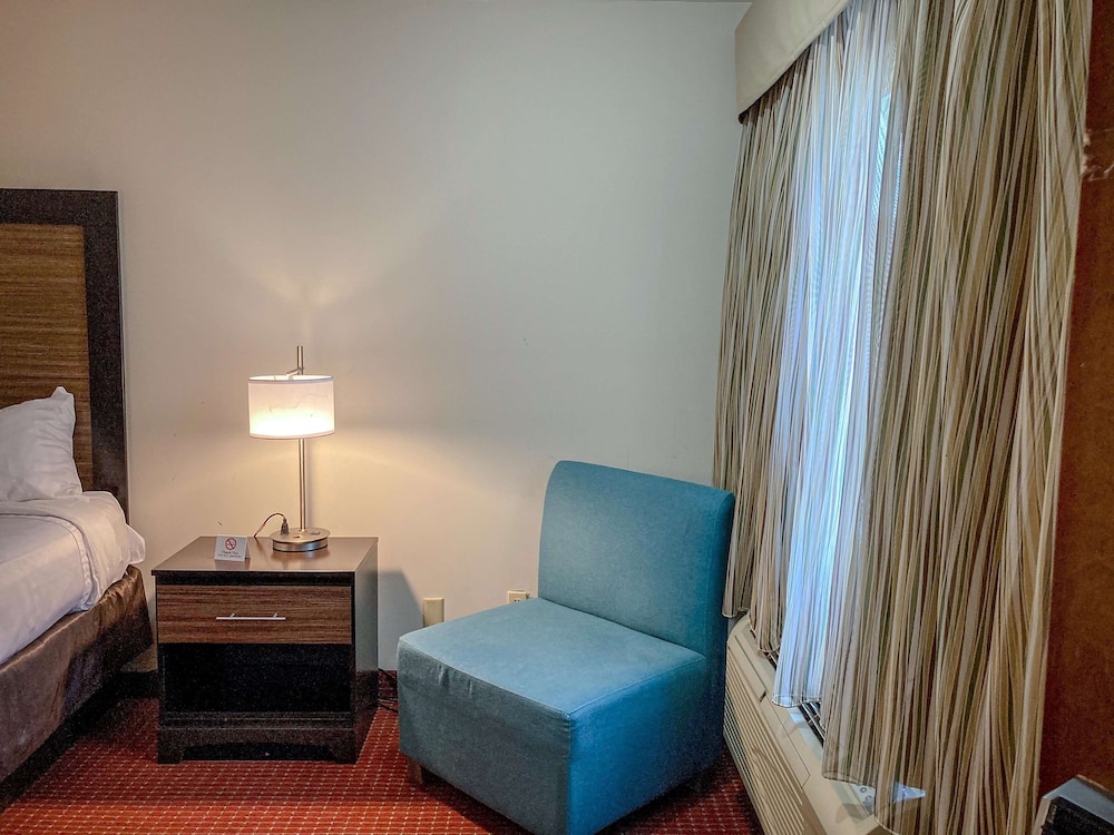 Deluxe Room, 1 King Bed, Non Smoking, Refrigerator & Microwave - Photo 3