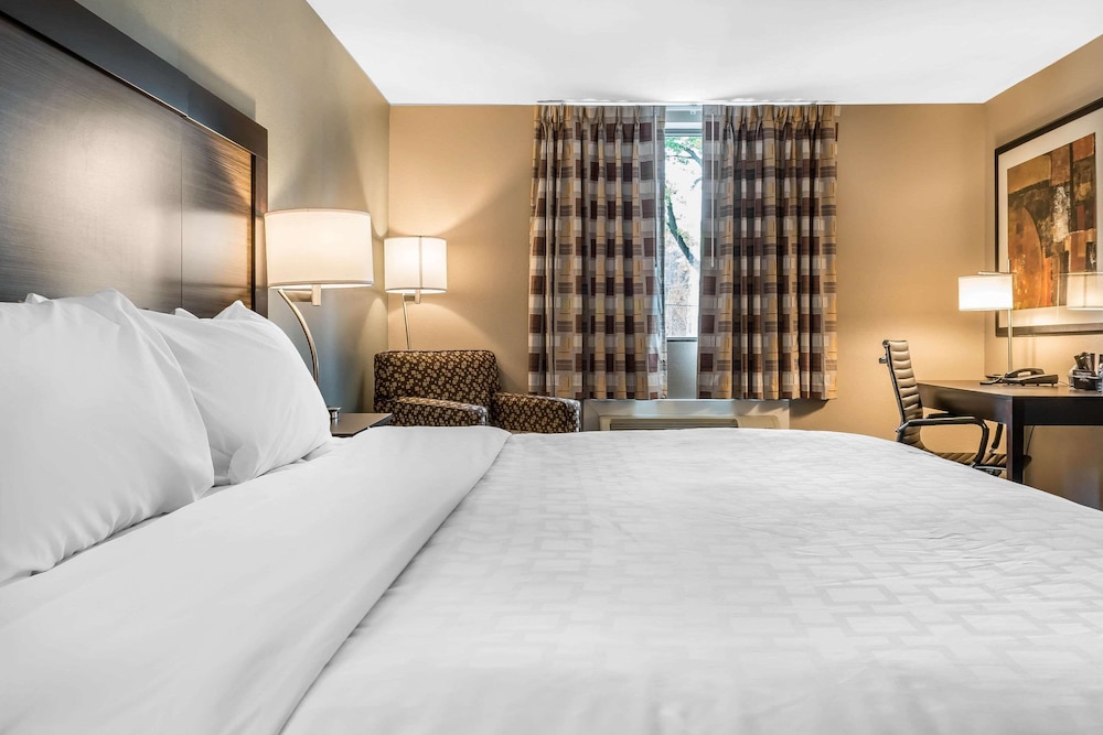 Standard Room, 1 King Bed, Non Smoking - Photo 3
