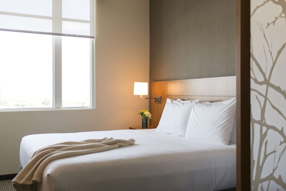 Room, 1 King Bed