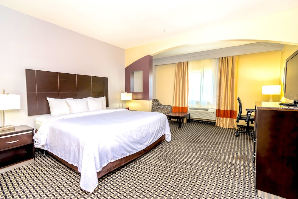 Suite, 1 King Bed with Sofa bed, Non Smoking