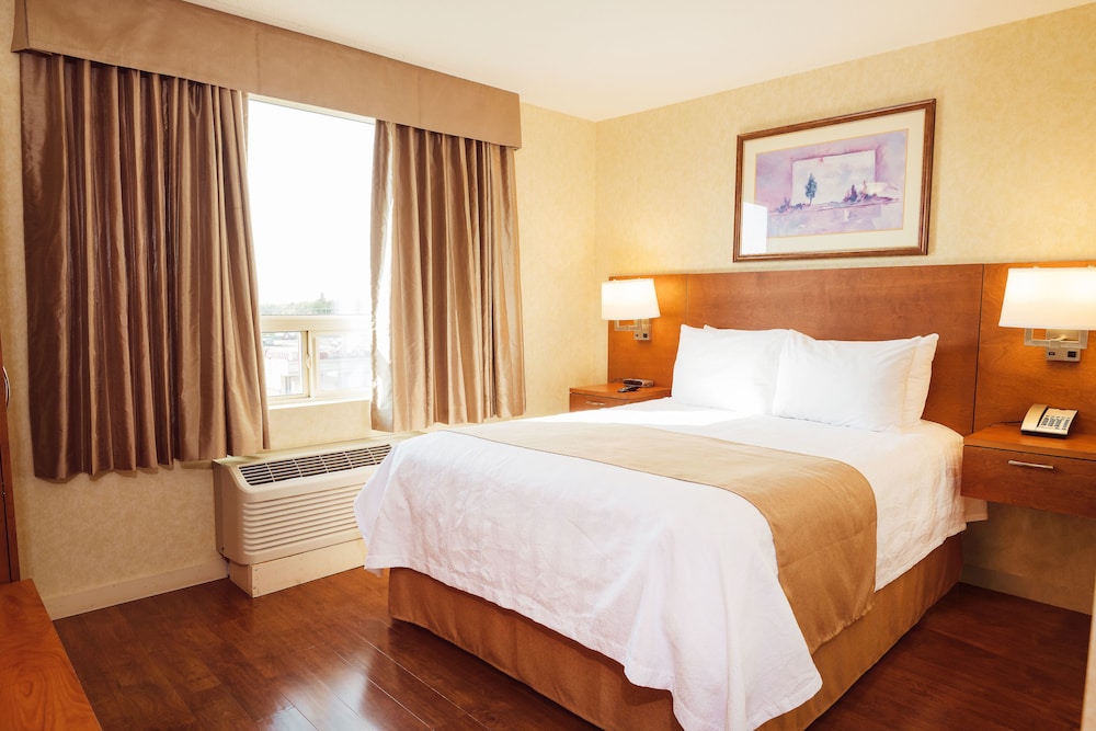 Executive Suite, 1 Bedroom photo 3